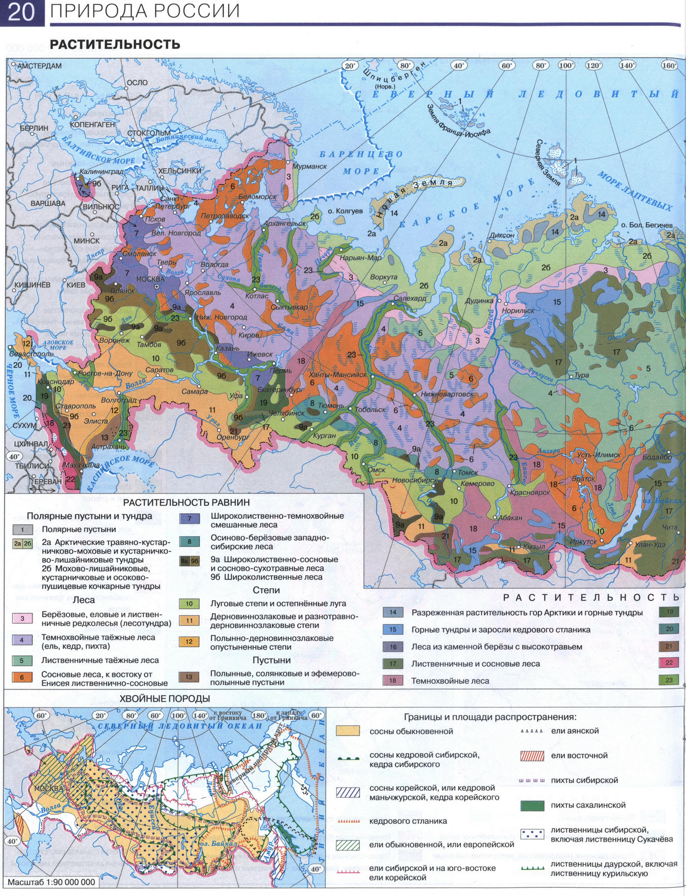 Природа России. Растительность - карта из атласа по географии для 8 класса