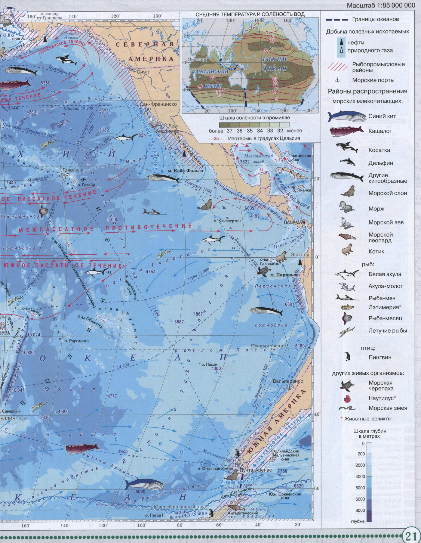 Тихий и Индийский океаны - Атлас по географии для 7 класса, издательство "Дрофа"