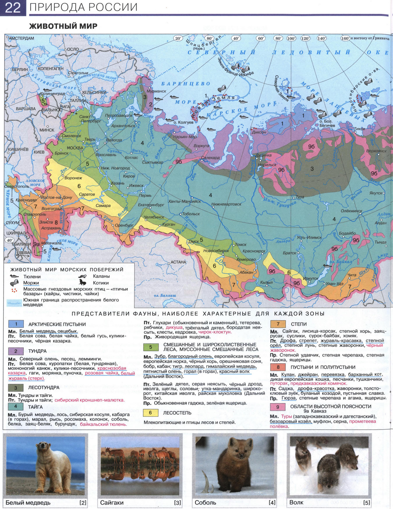 Природа России. Животный мир - карта из атласа по географии для 8 класса