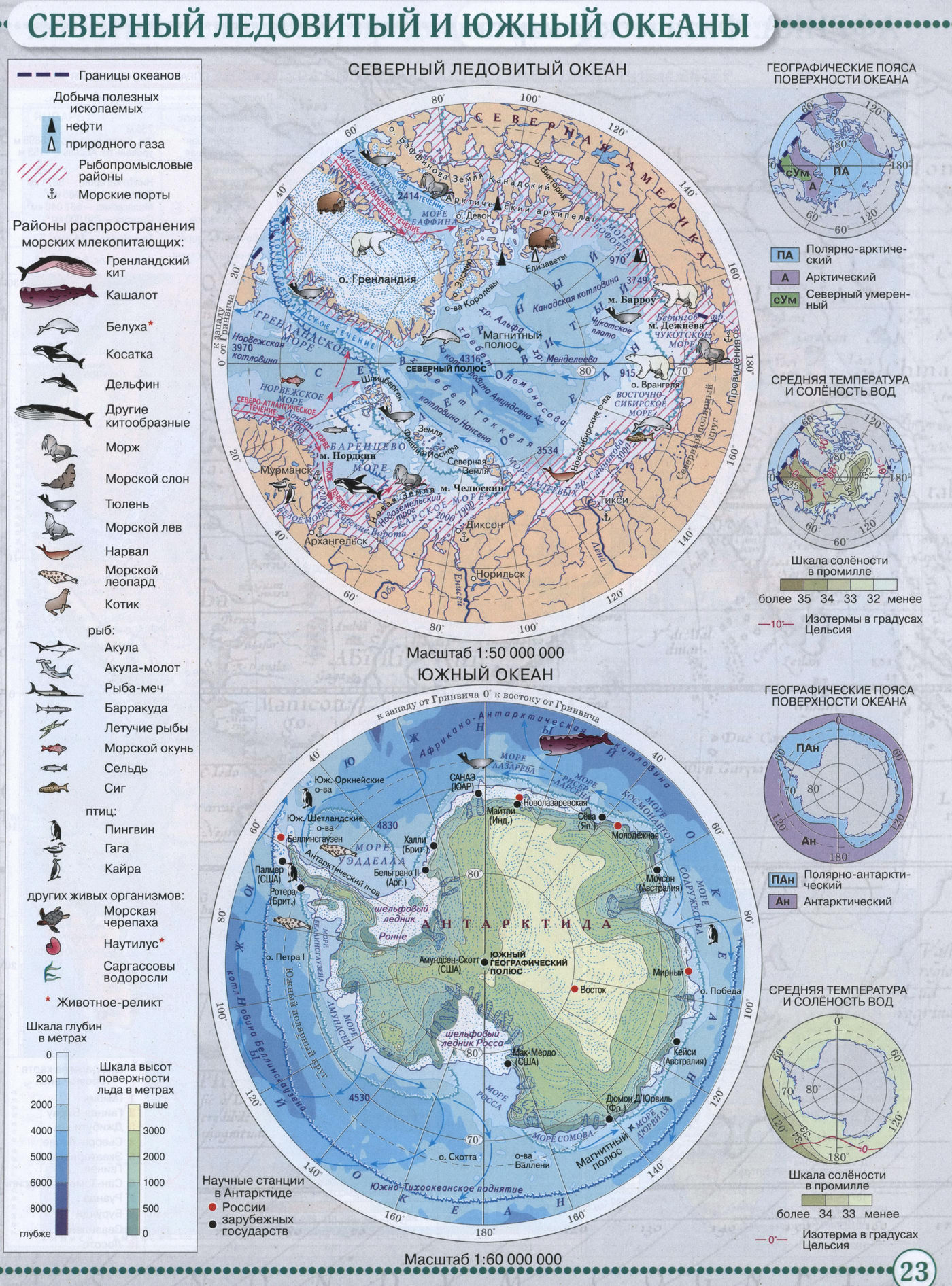 Северный Ледовитый и Южный океаны - Атлас по географии для 7 класса, издательство "Дрофа"