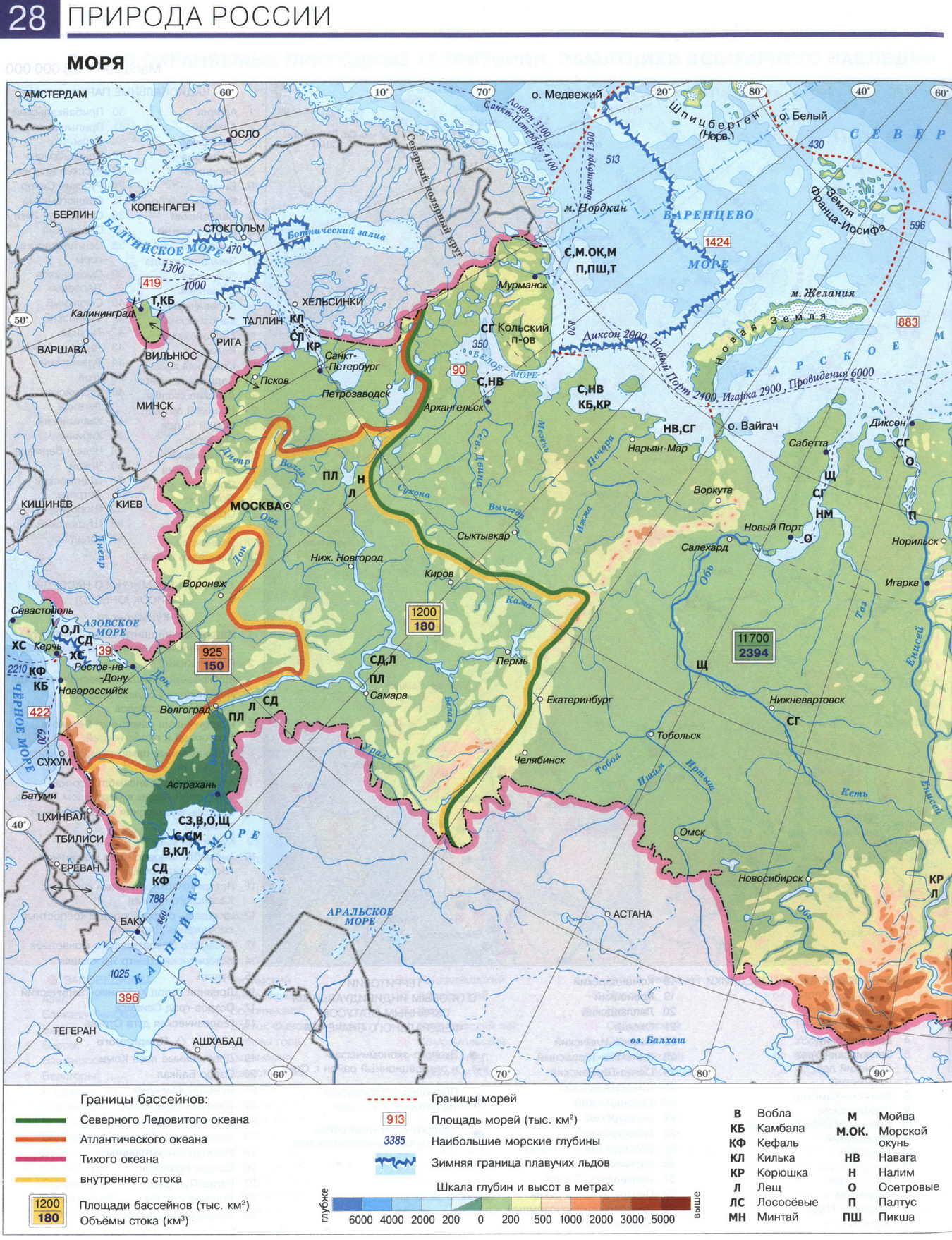 Природа России. Моря - карта из атласа по географии для 8 класса