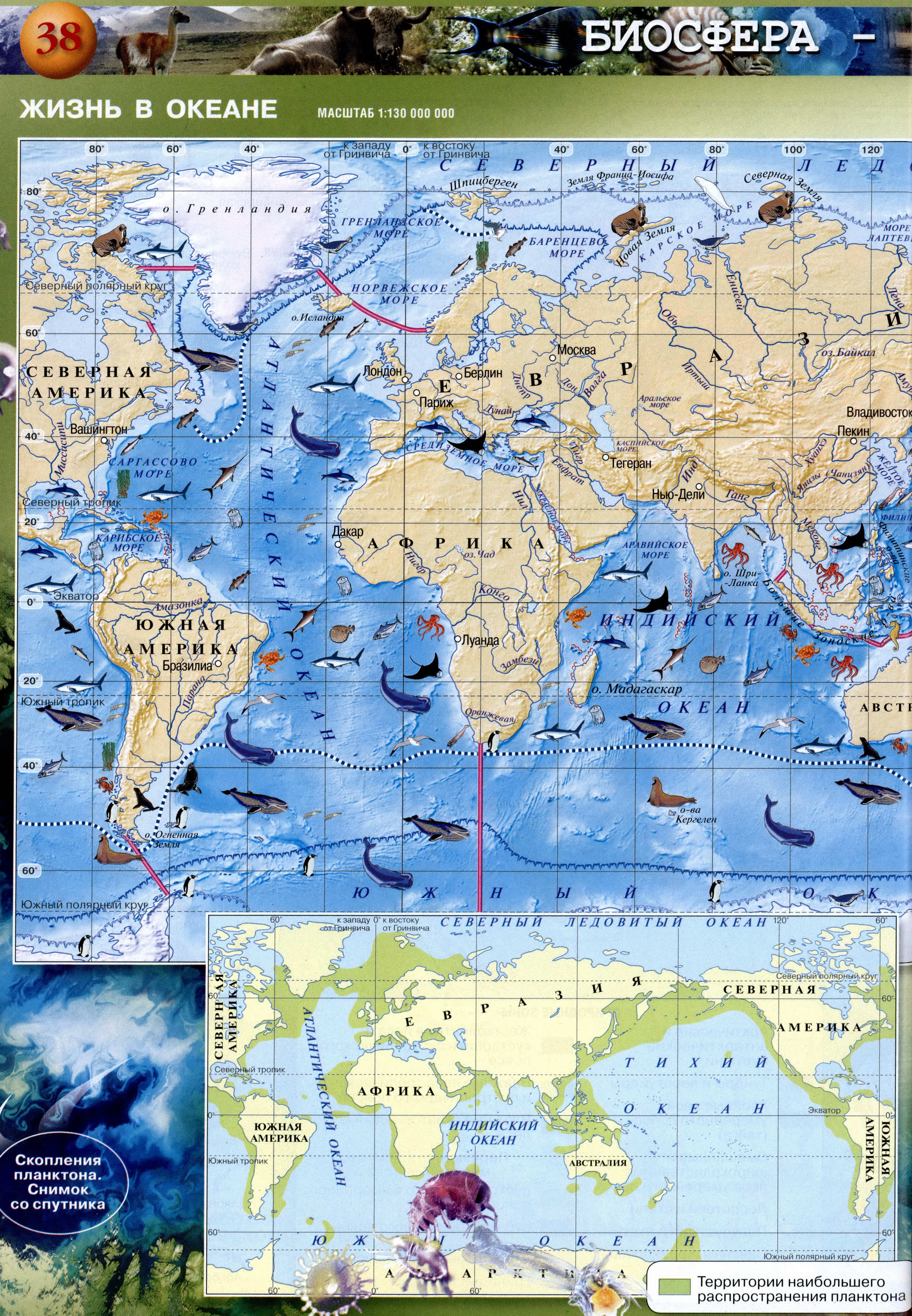 Стр 38 Атлас по географии 5-6 класс Сферы